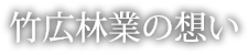 木の目利き