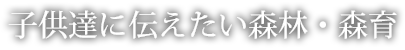 子どもたちに伝えたい森林・木育