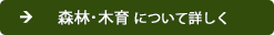 森林・木育について詳しく