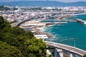 小田原への熱い想いと木へのこだわり