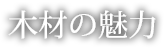 木の目利き